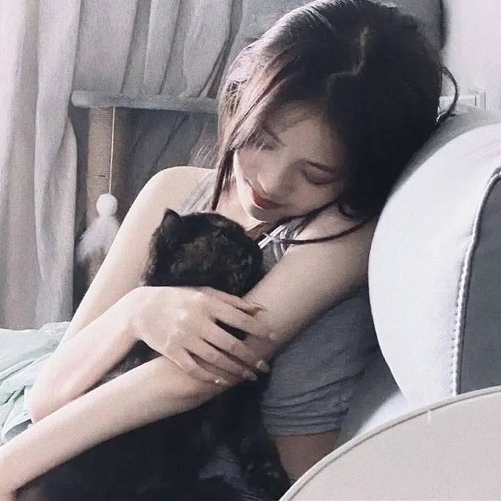 新进职员:电影版
